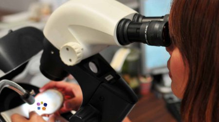 Gemologist examining stones